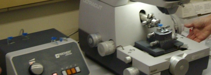 Veterinary Anatomy