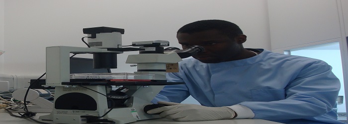 Laboratory Examination