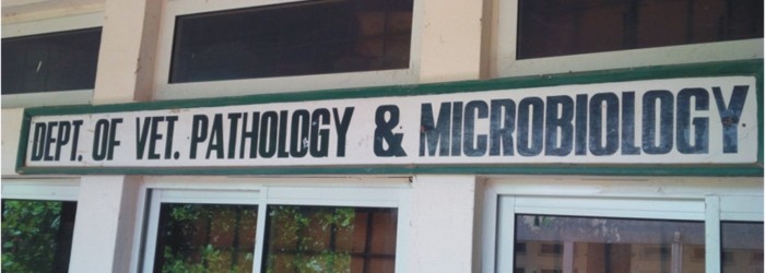 Pathology and Microbiology Logo